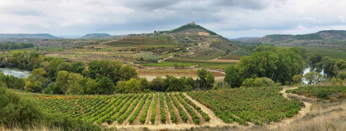 rioja destination image