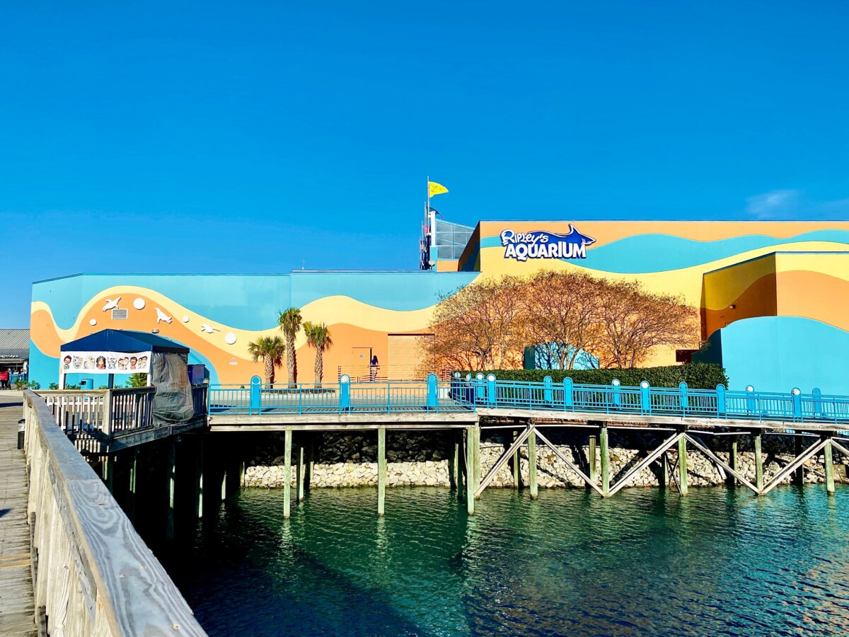 Building exterior of Ripley's Aquarium of Myrtle Beach and skyline in Myrtle Beach, South Carolina