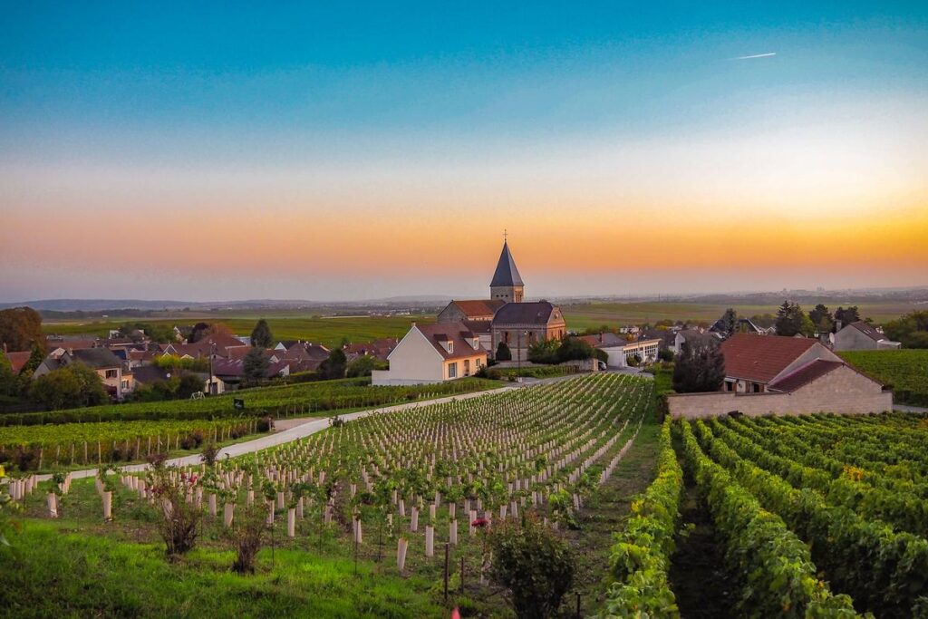 Sunrise over vineyards near Reims in the Champagne region
