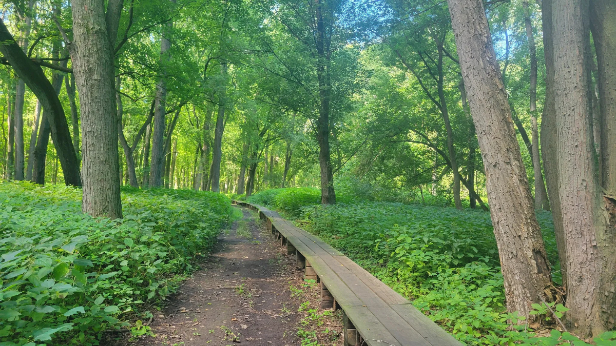 Sand Point Trail in
Frontenac State Park