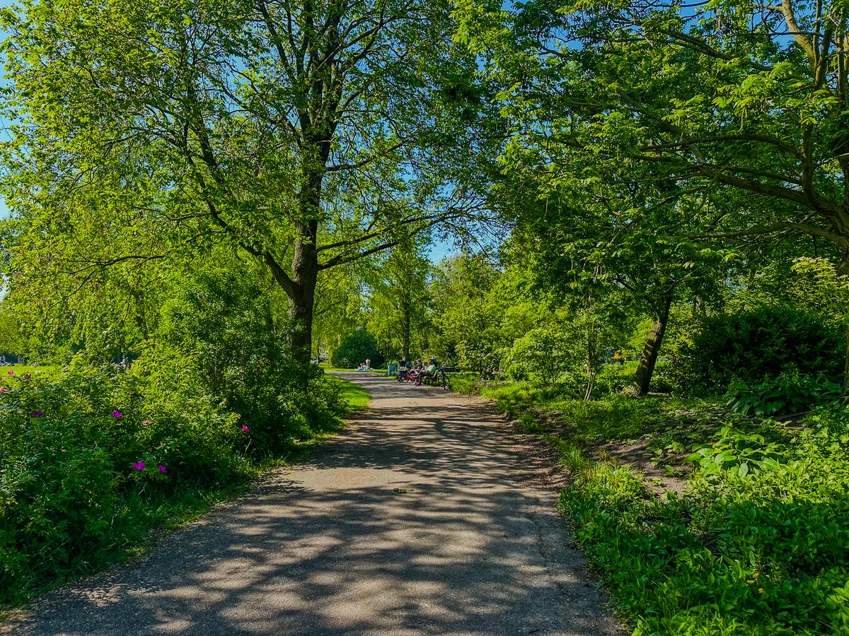 Scenic Pathway in Oosterpark, Amsterdam, Surrounded by Lush Greenery and Flowering Plants