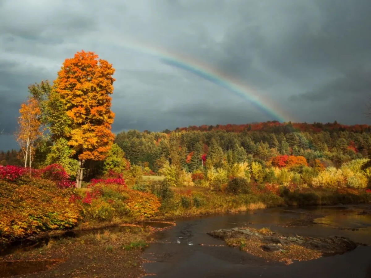 Scenic Route 100 in Vermont