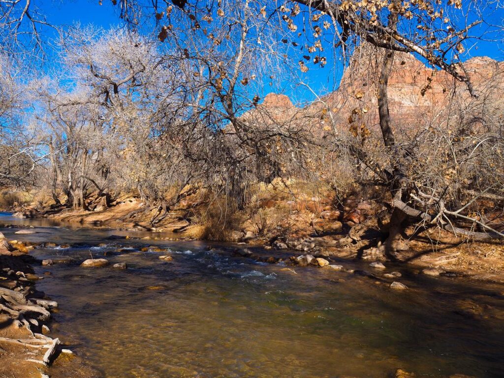 Scenic Zion National Park River Trail