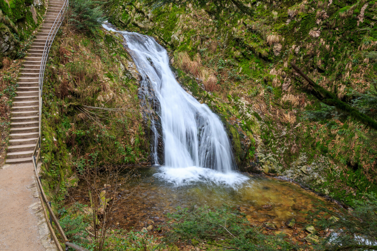 Waterfall flowing through forest in Black Forest National Park
