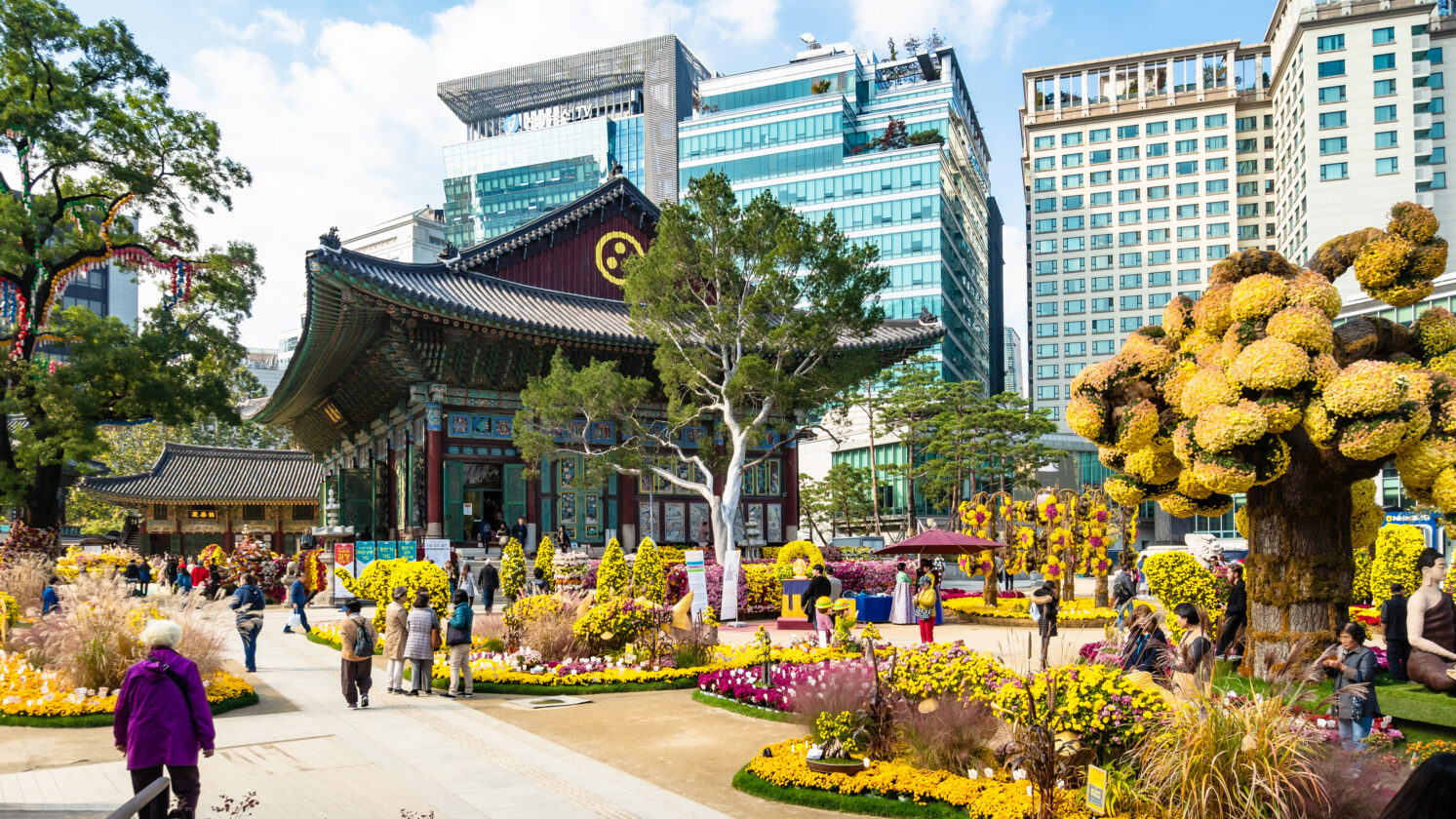 Seouls Jogyesa Temple autumn garden with chrysanthemums, visitors, and city skyline.