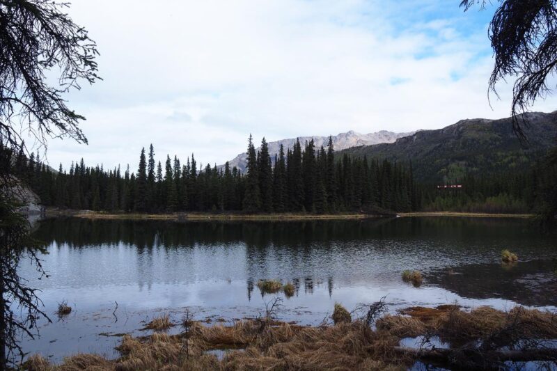 Denali Packing List: What to Bring to Denali National Park