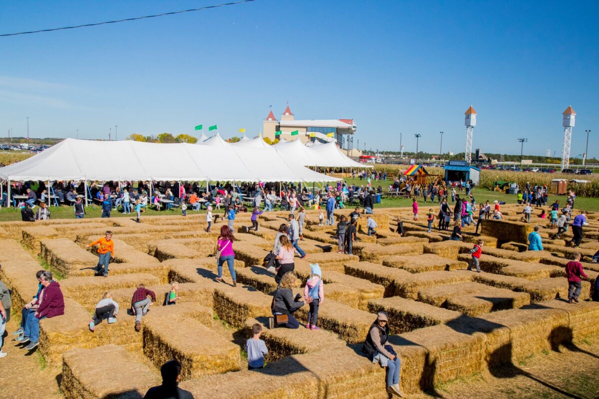 Families at Sever’s Fall Festival and corn maze in Shakopee