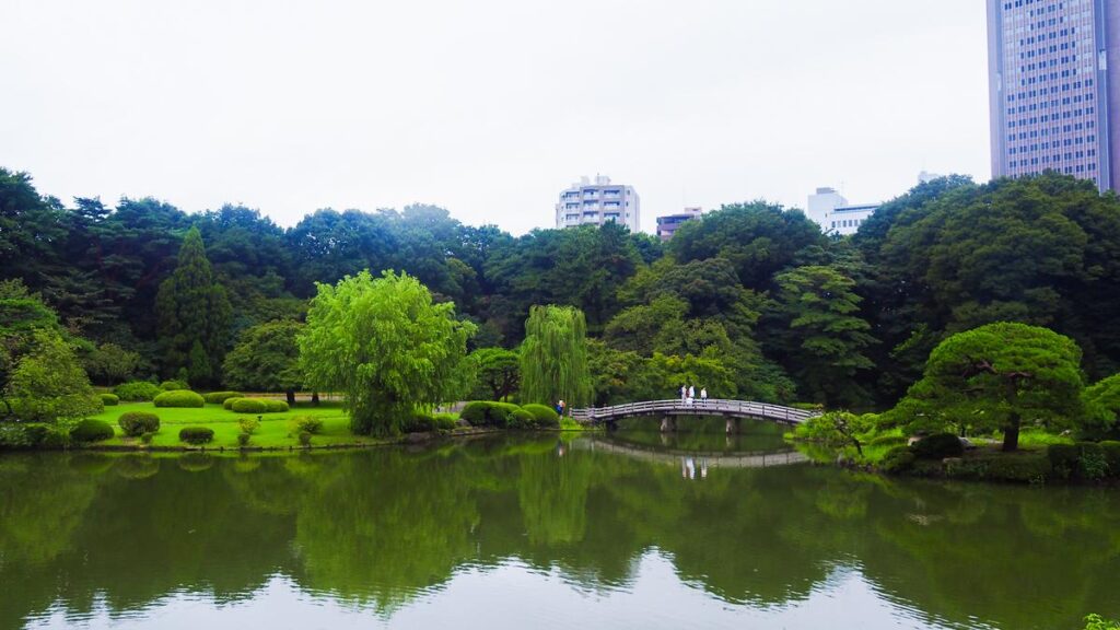 Serene Shinjuku Gyoen garden with traditional Japanese bridge in Tokyo
