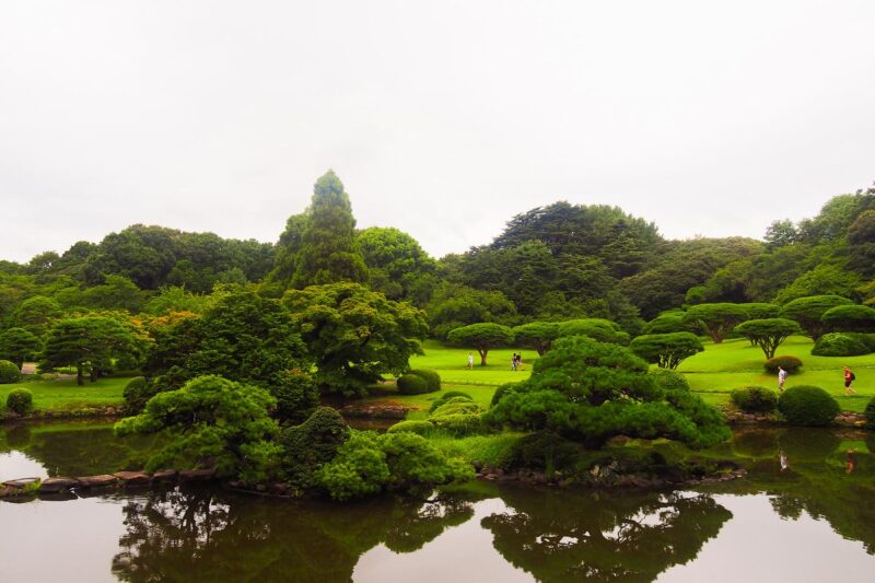 Tranquil Shinjuku Gyoen Garden, Tokyo with serene pond reflections
