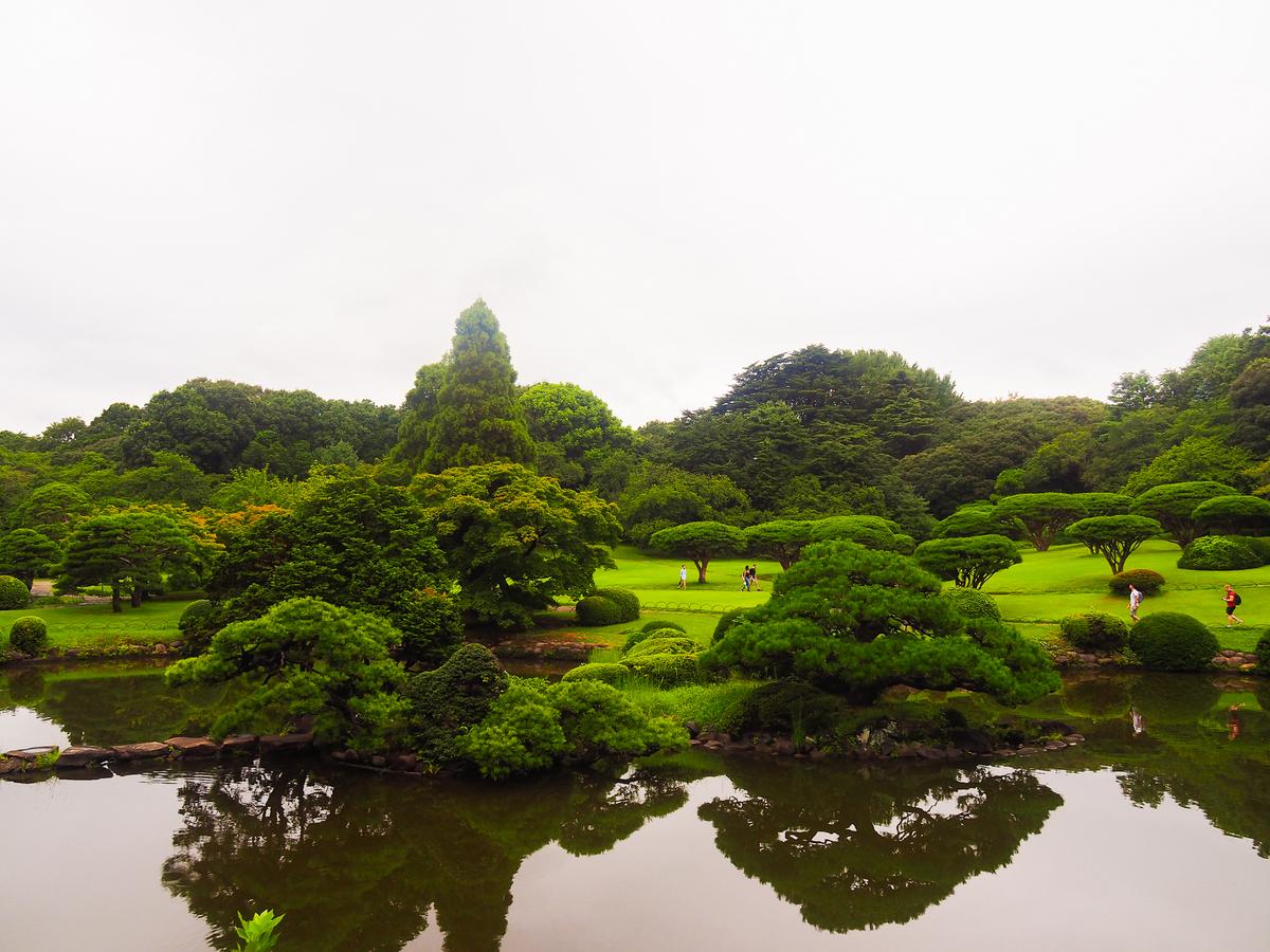 Tranquil Shinjuku Gyoen Garden, Tokyo with serene pond reflections