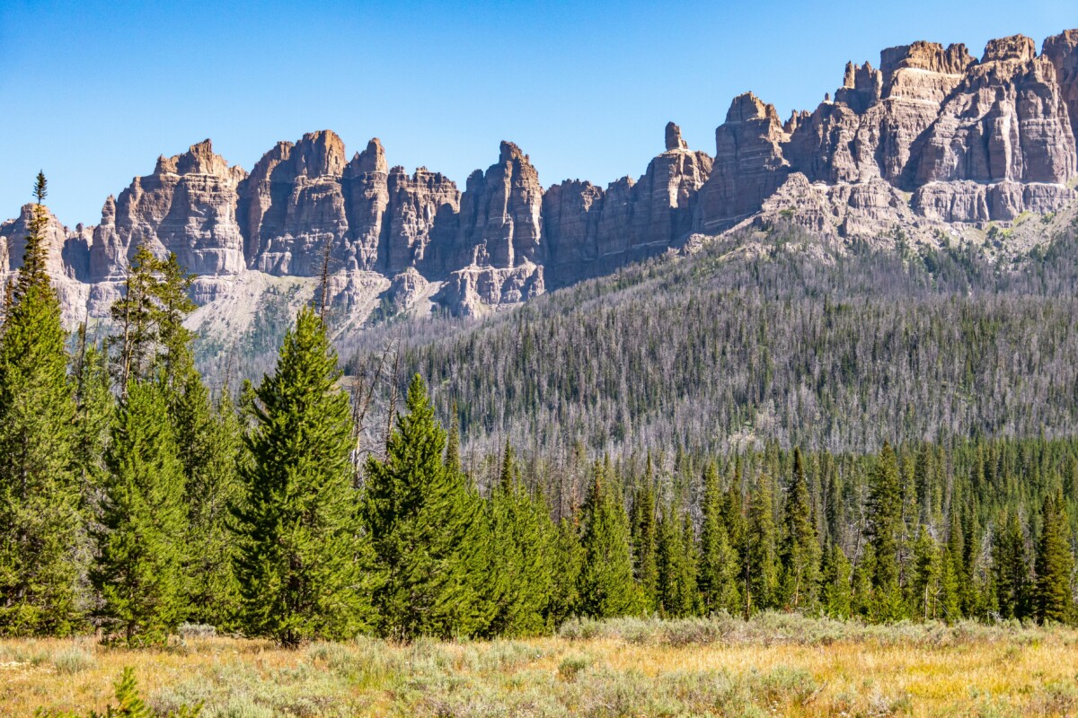 Trees and mountains at Shoshone National Forest, Wyoming