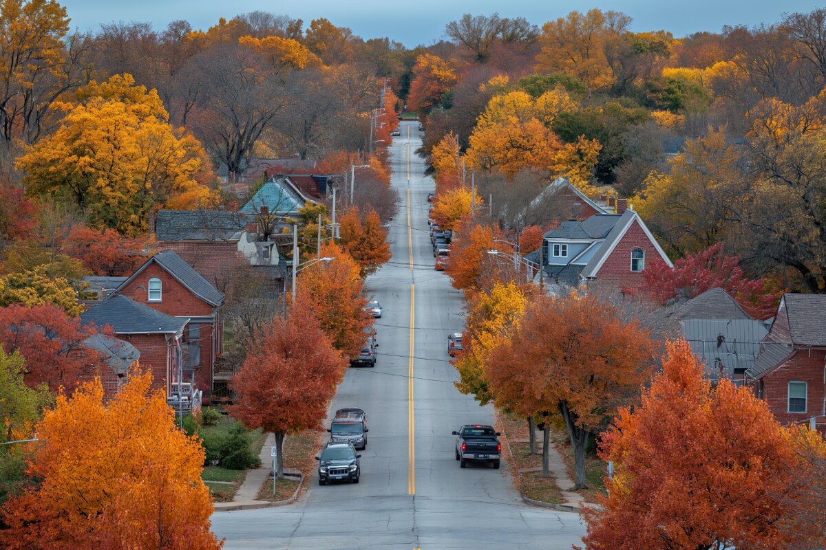 Snake Alley in Burlington Iowa, A street lined with houses and trees showcases vibrant autumn foliage.