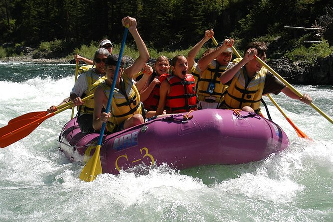 Snake River Jackson Hole Whitewater Rafting