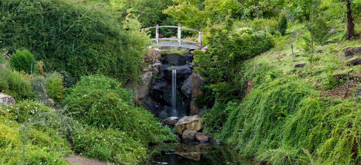 Small bridge and small waterfall at Sonoma Botanical Garden in Sonoma, California
