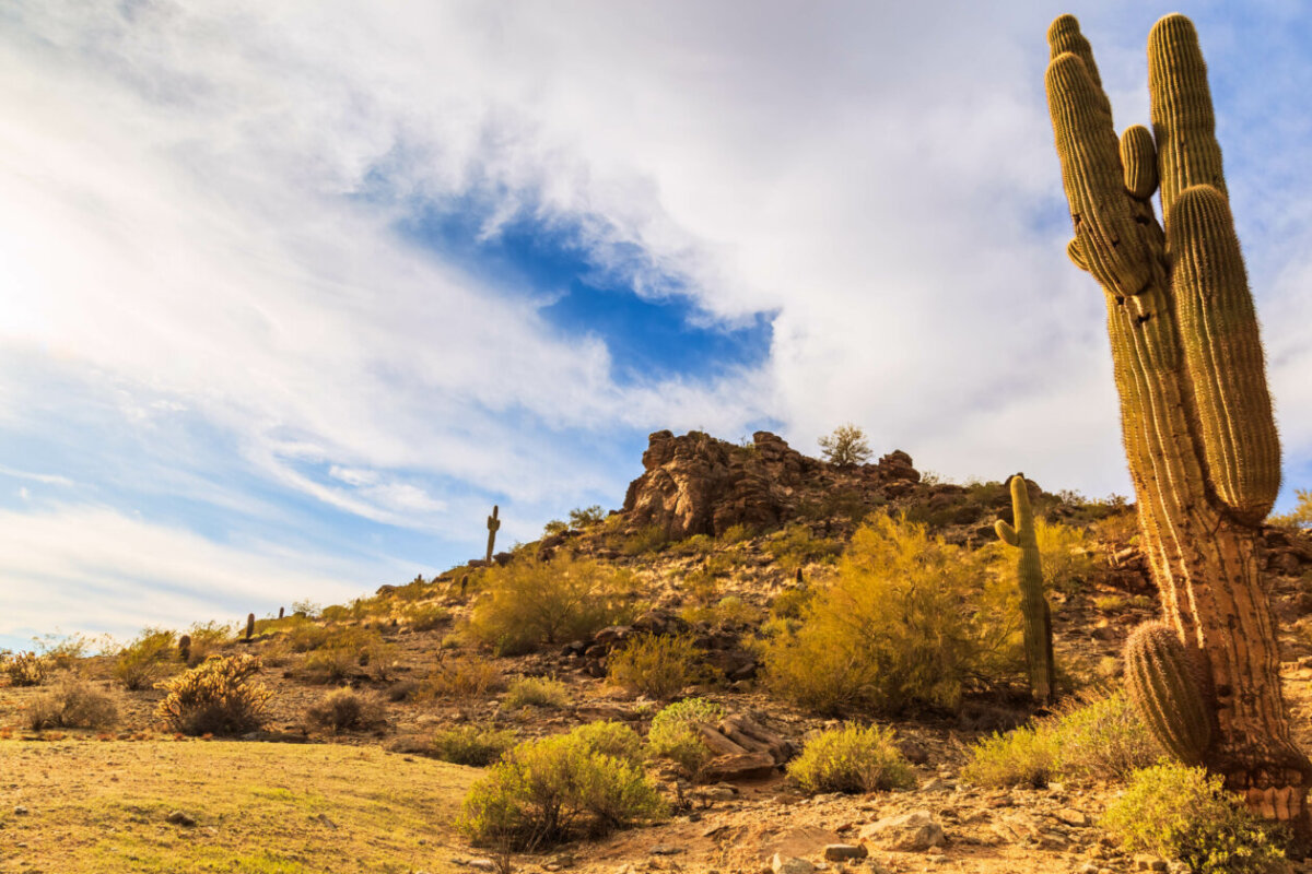 South Mountain Park Preserve, Arizona Skyline