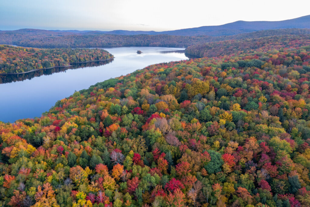 Red, orange, and yellow fall foliage across southern Vermont