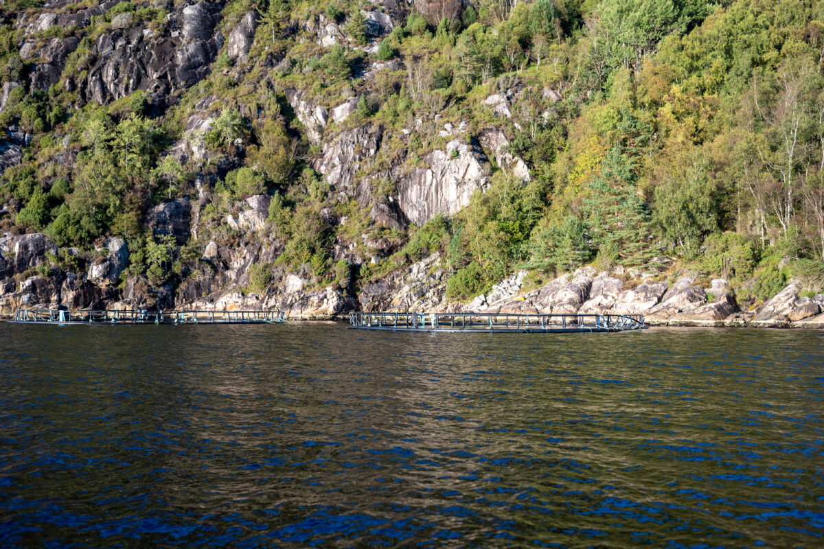 Lysefjord near Stavanger, Norway: rugged cliff, Preikestolen, Hengjanefossen, Fantahålå Vagabundenhöhle, and salmon-farm pens.