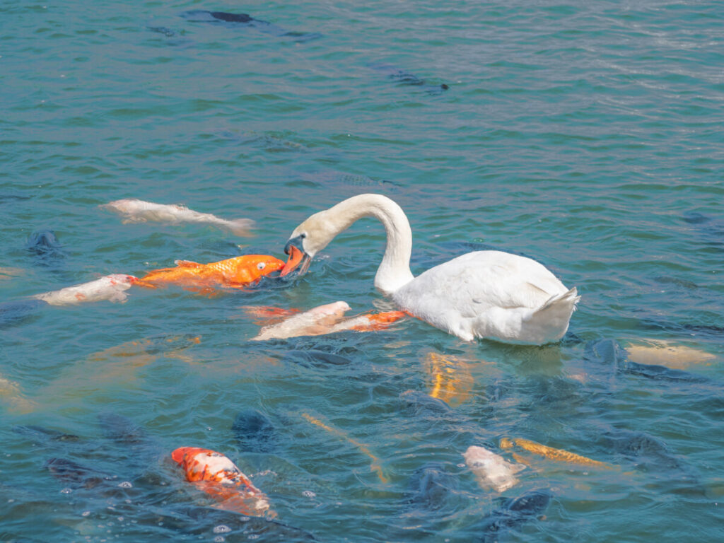 Shidaka Lake, Beppu, Japan