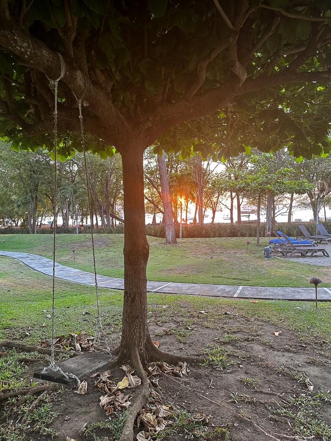 Swing at sunset, Casa Conde Beach Front Boutique Hotel, Papagayo Peninsula, Costa Rica