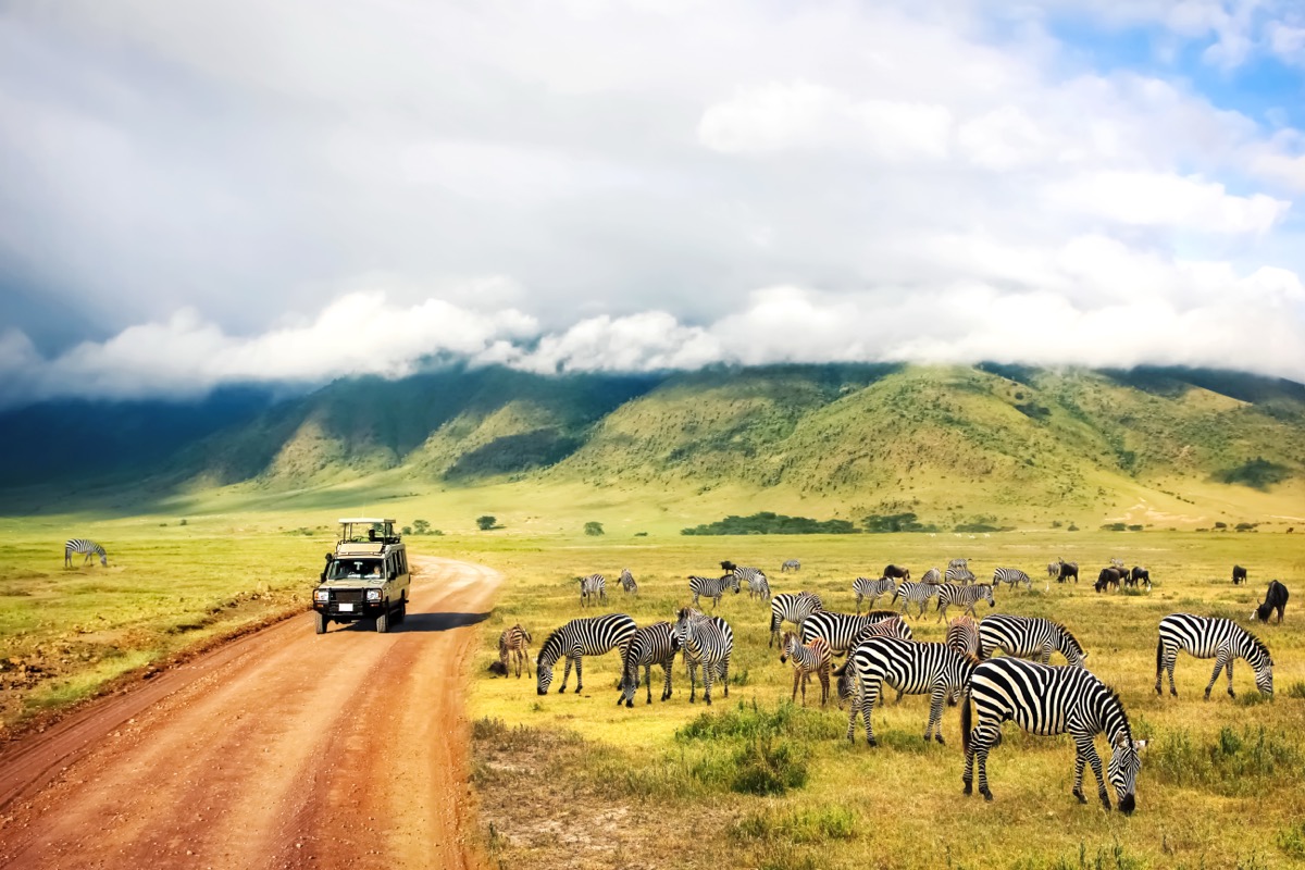 tanzania destination image