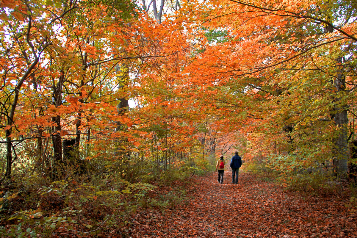 Hikers in The Berkshires