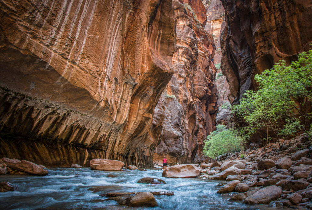 Hiker in The Narrows, Zion National Park