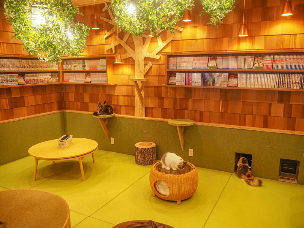Tokyo cat cafe ambiance with playful felines and cozy decor