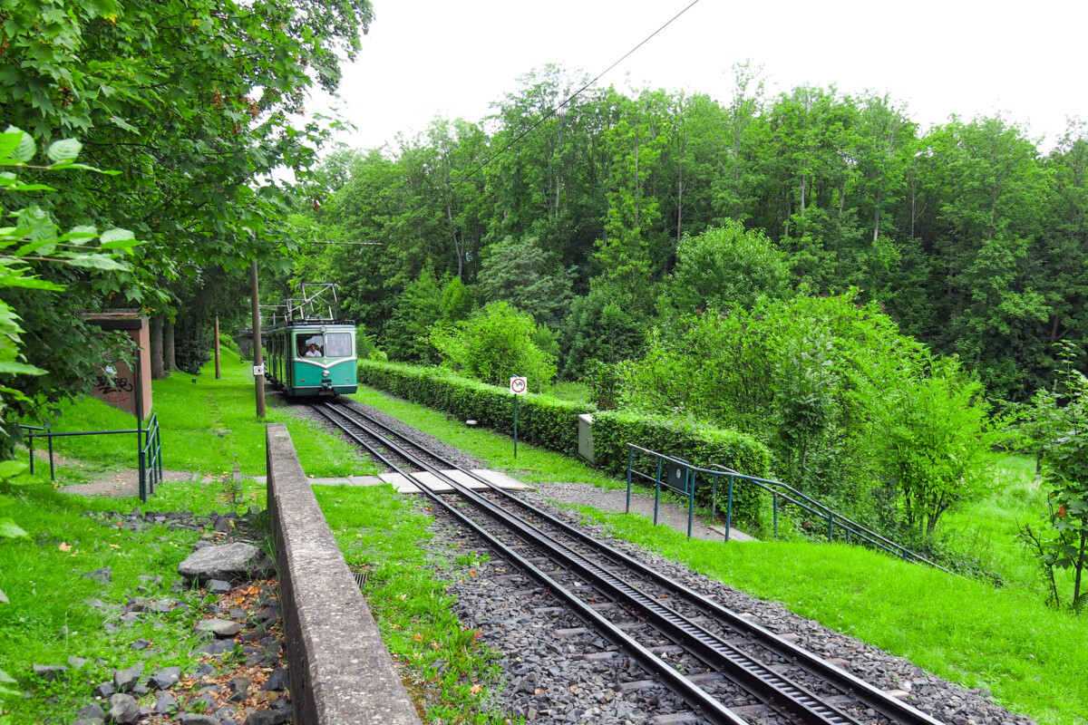 Train in the Forest of Koningswinter, Germany