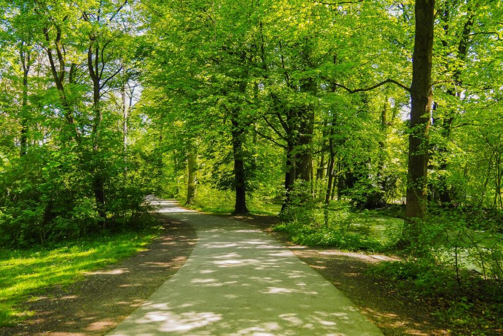 Tranquil path through Englischer Garten, Munich: lush greenery, winding walkway, serene nature escape.
