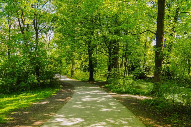 Tranquil path through Englischer Garten, Munich: lush greenery, winding walkway, serene nature escape.