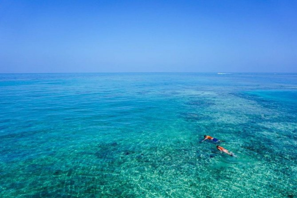 Turtle Town Snorkel activity in Maui