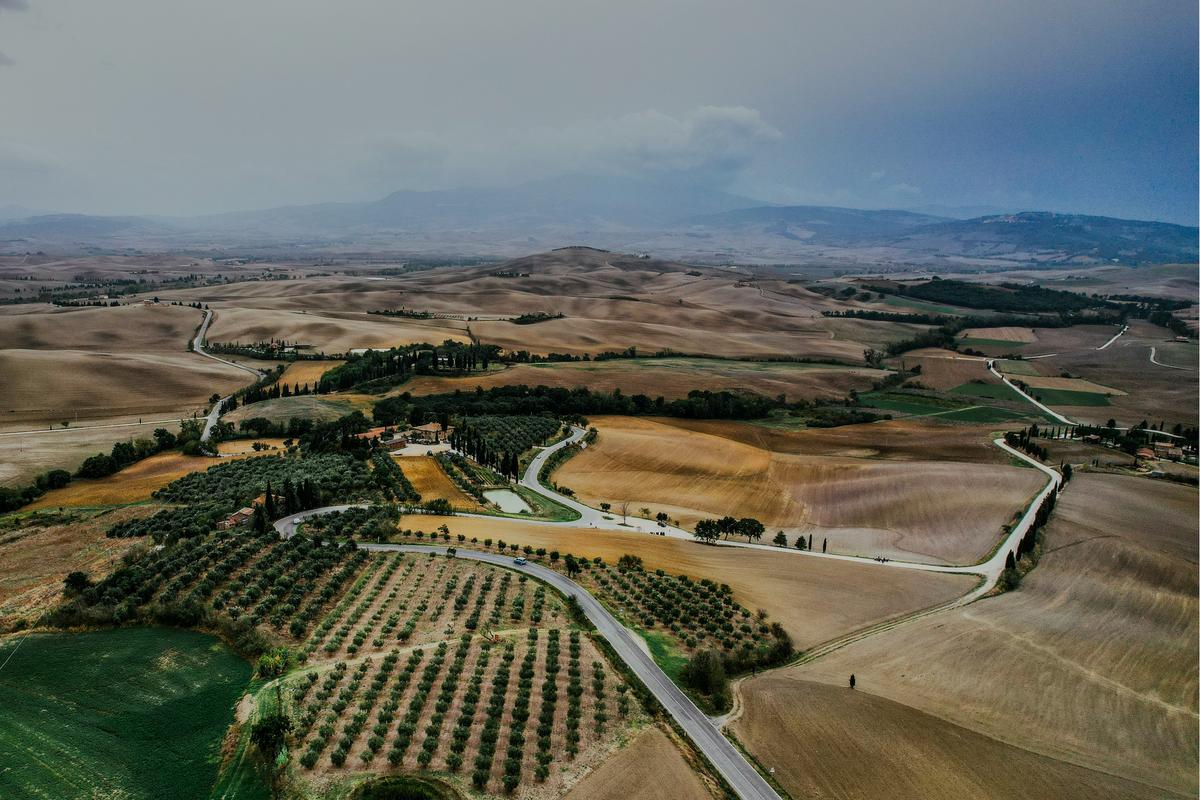 Aerial view of Tuscany's rolling hills and olive groves