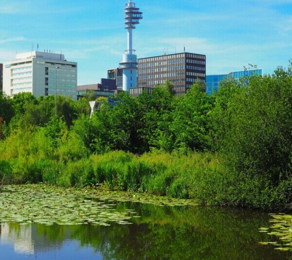 Amstel Park urban oasis with modern architecture and greenery by the water