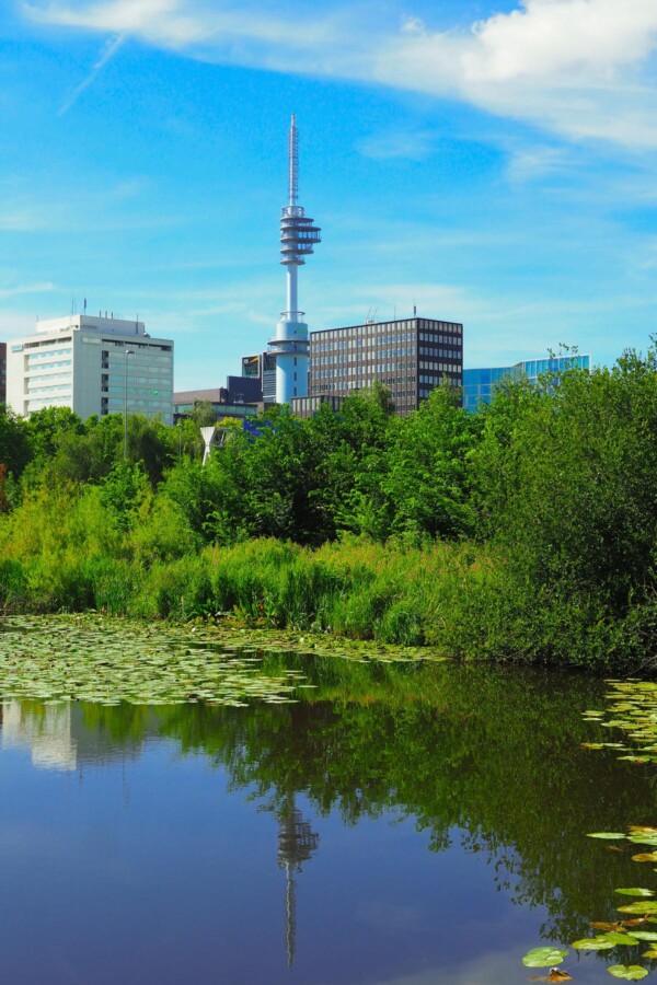 Amstel Park urban oasis with modern architecture and greenery by the water