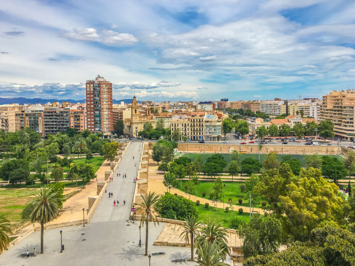 Aerial view of the bridge and buildings in Valencia, Spain