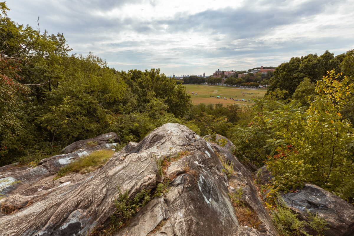 Top View of Van Cortlandt Park in New York City