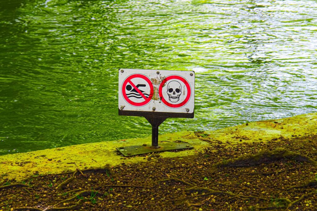 Safety warning sign at Englischer Garten, Munich - prohibition symbols, skull and crossbones, lush green waterside.