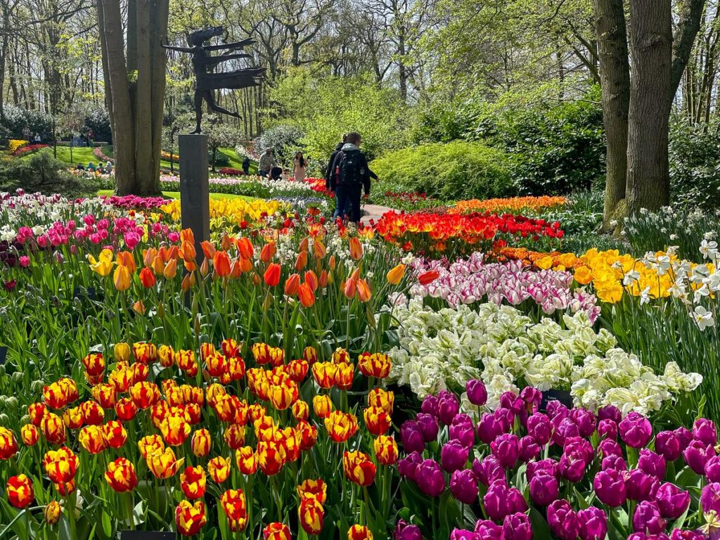 Tulip bloom at Keukenhof Gardens, Lisse, Netherlands