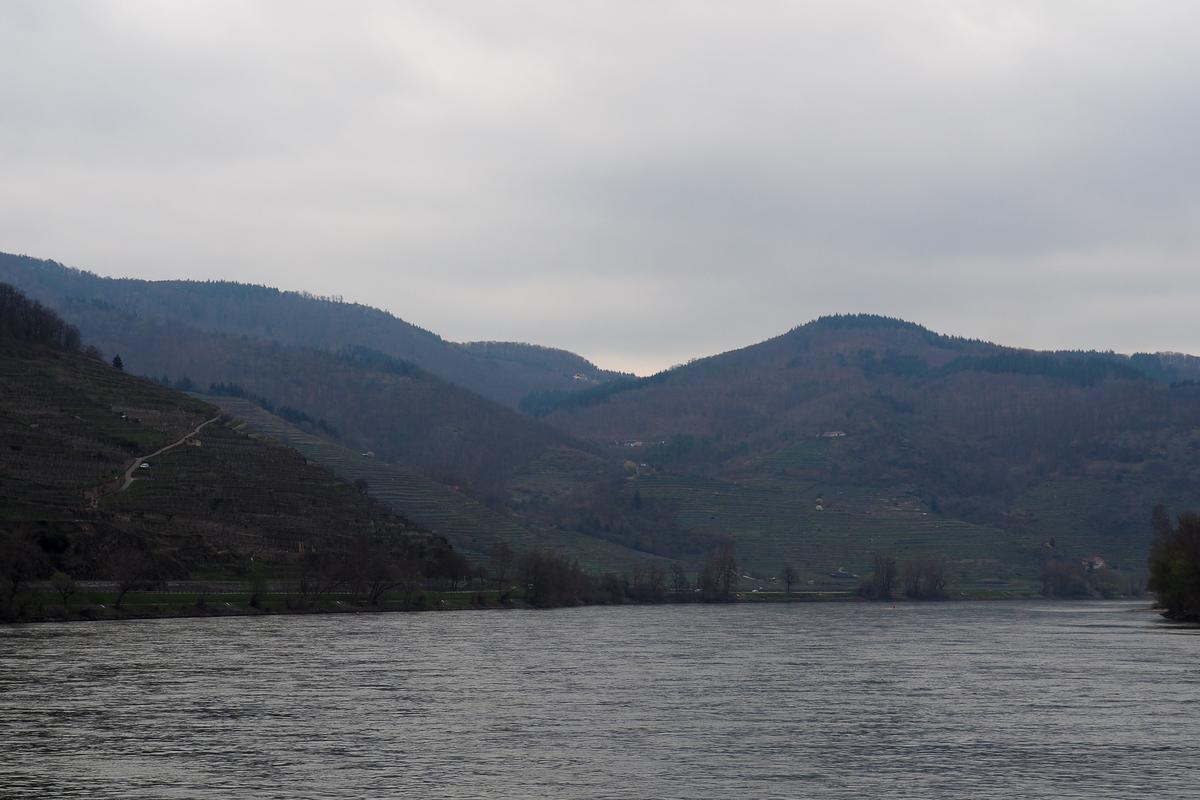 Wachau Valley in spring with blooming vineyards and scenic river views along the Danube