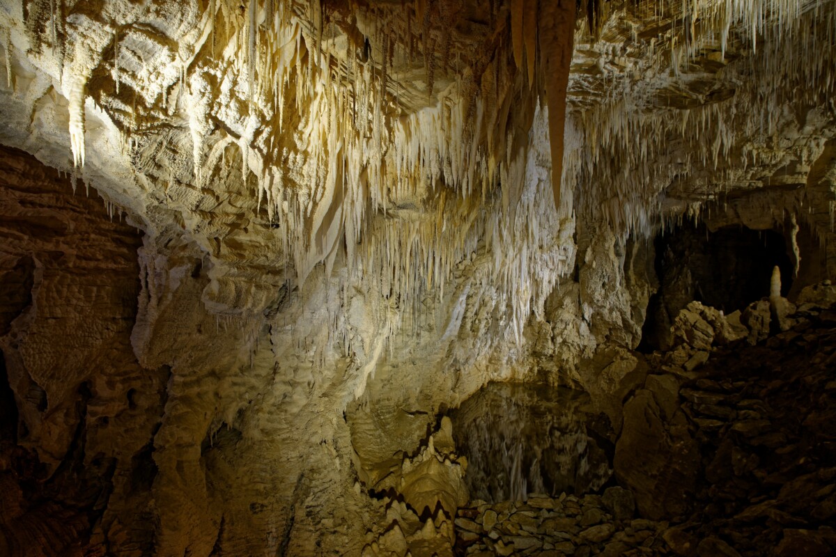 Limestone chamber inside the Waitomo cave system on New Zealand's North Island
