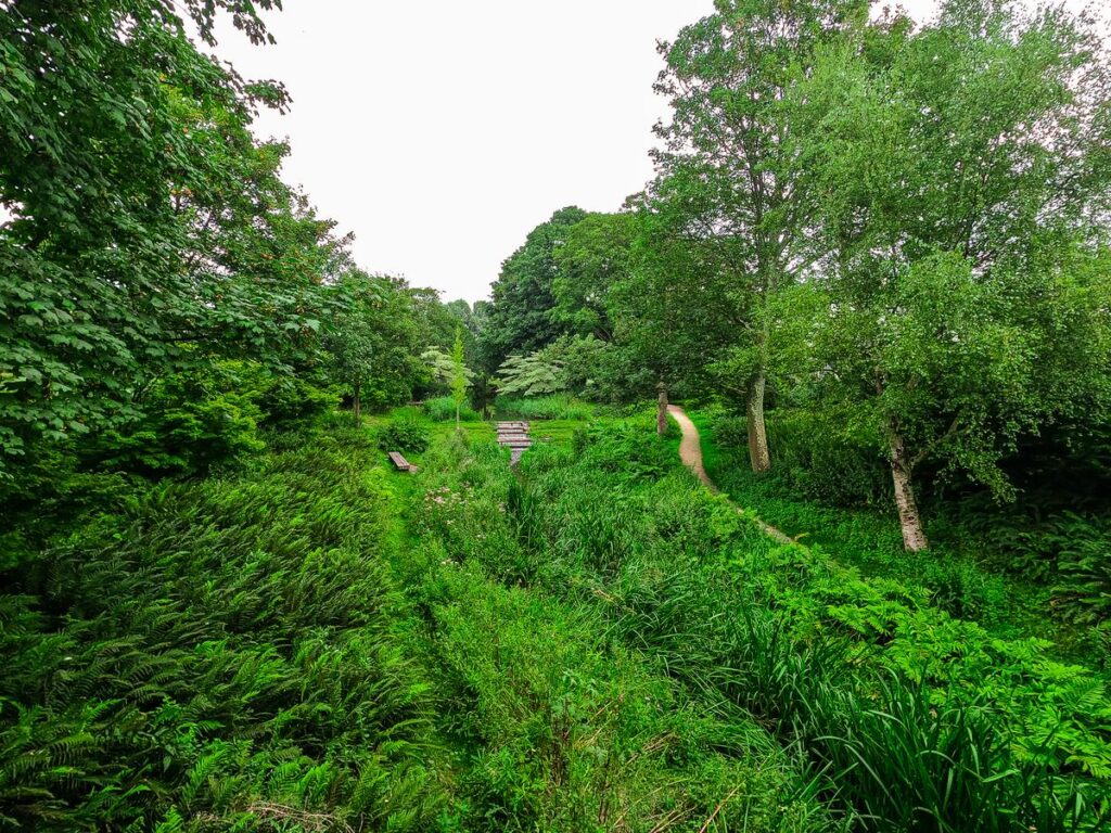 Serene view of Westerpark Amsterdam featuring lush greenery, walking paths, and tranquil seating area