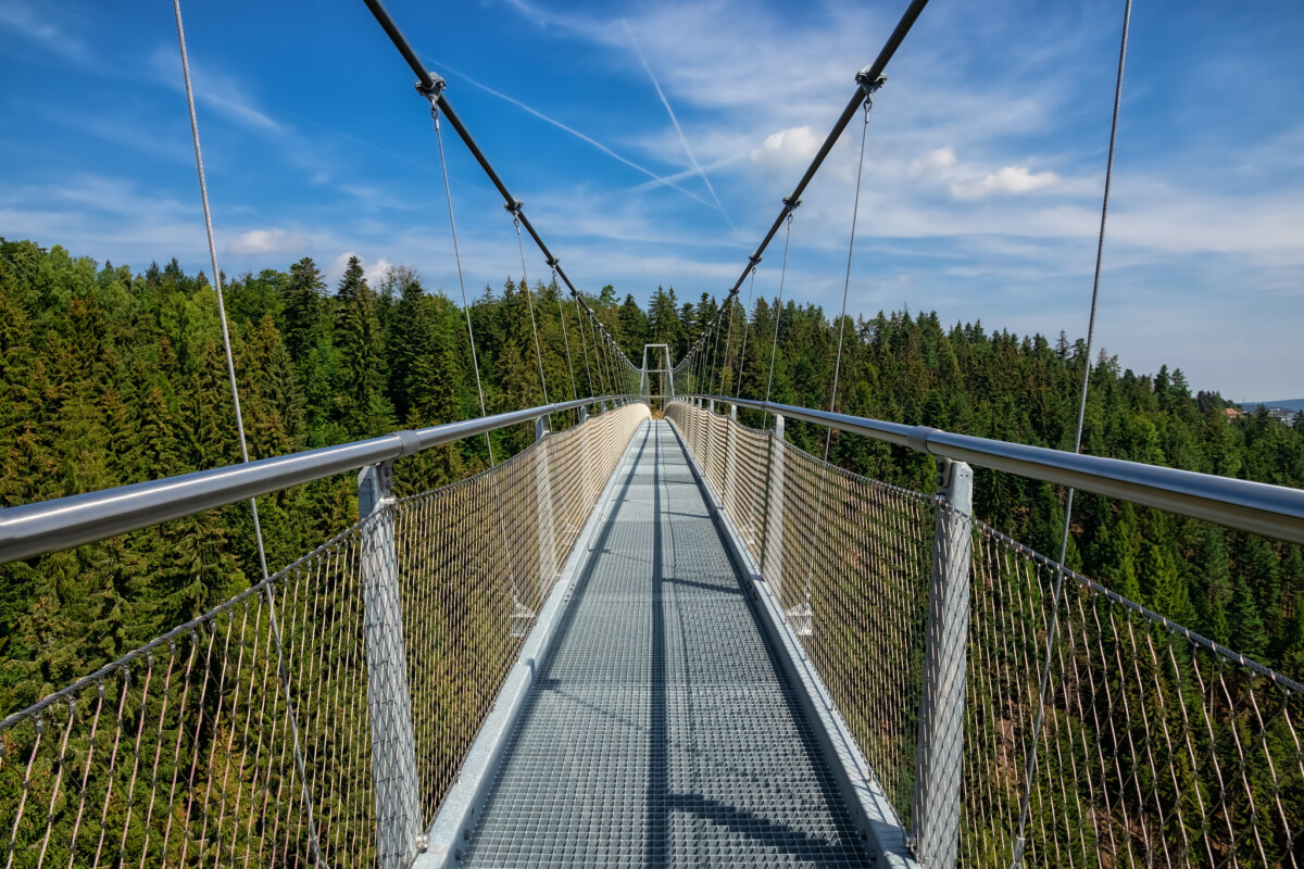 Wildline Suspension Bridge in the Black Forest