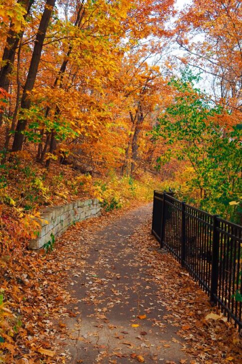 Autumn foliage on Winchell Trail, Minneapolis - vibrant fall colors hiking destination
