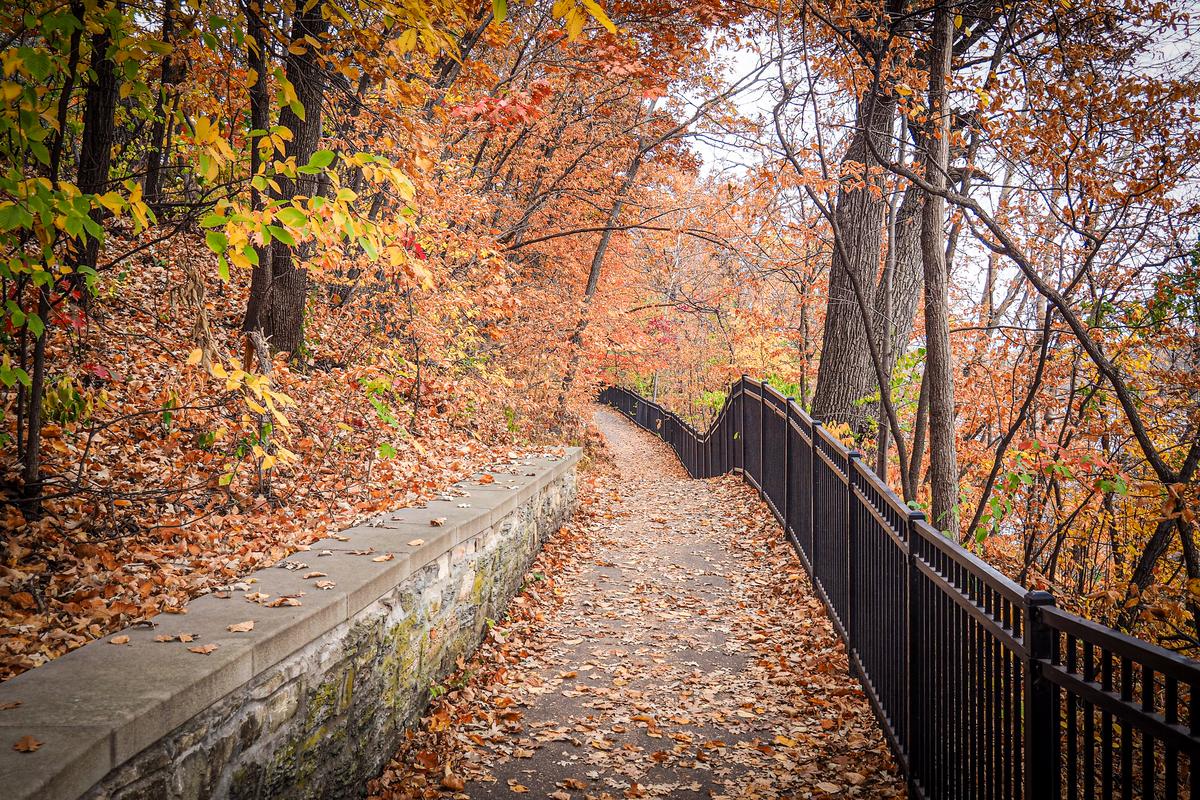 Scenic fall foliage along Winchell Trail, Minneapolis, ideal for autumn hikes