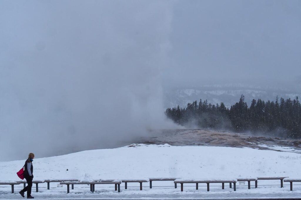 Visitor observing Old Faithful Geyser in Yellowstone National Park during winter.