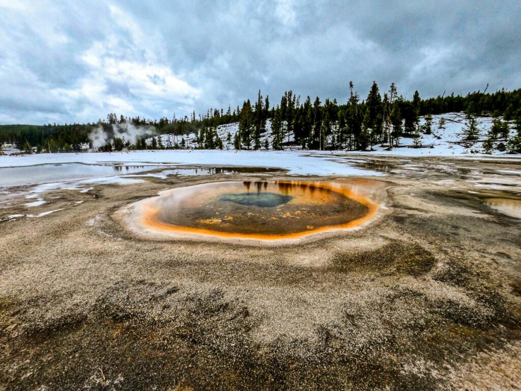 Steam rising from a Yellowstone hot spring with snow and pine trees