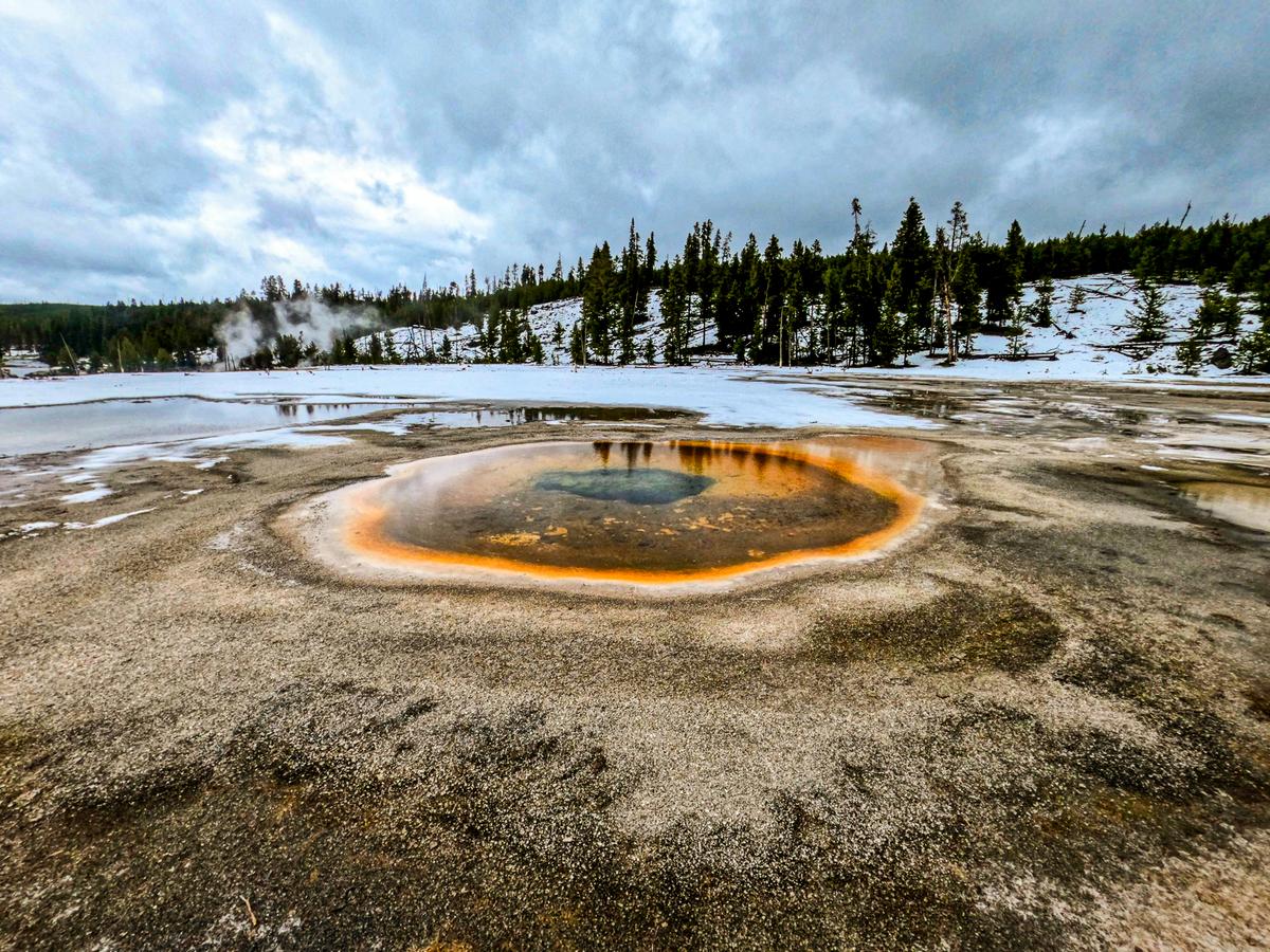Yellowstone's hot spring with snow and pine trees, showcasing geothermal wonders.