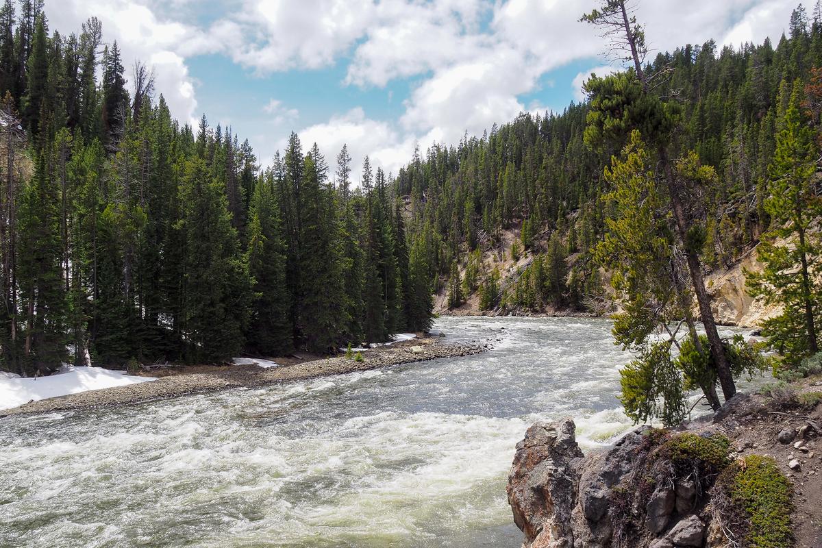 Upper Falls Yellowstone River with forested cliffs and rapids