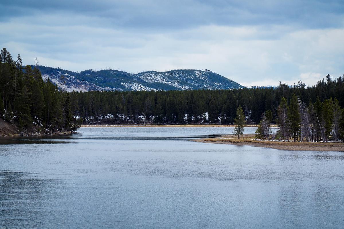 Yellowstone River in Wyoming with tranquil waters, forest, and mountains perfect for nature adventures