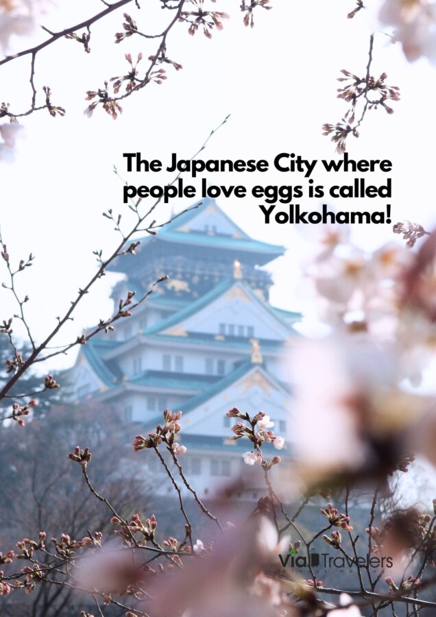 Yokohama Pun